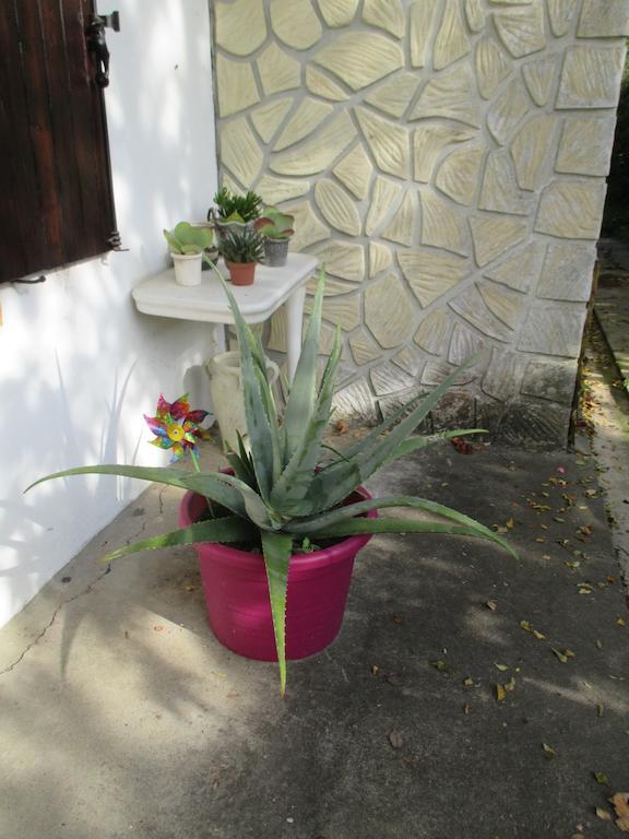Gîte Habas Exterior foto